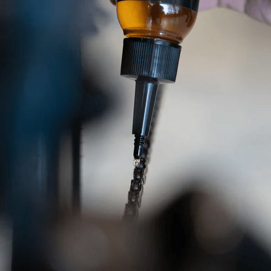 Dynamic E-Bike Lube
