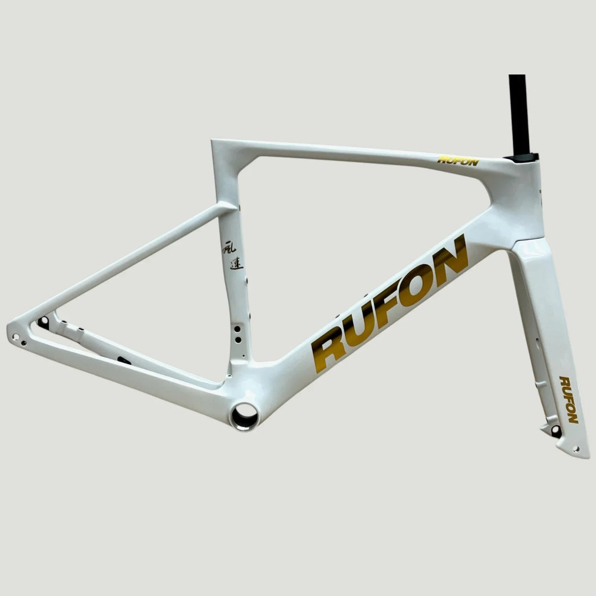 RUFON GALE Aero Race Complete Bike [BUILD to ORDER]