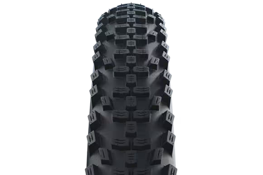 Schwalbe Smart Sam HS624 20"