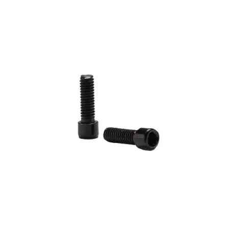 Ergon Lock-on Grip Screws